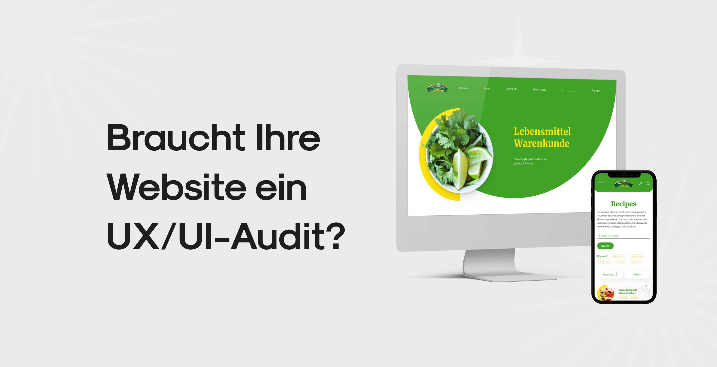 Die Top-Indikatoren für ein UX/UI-Audit Ihrer Website | North IT Group